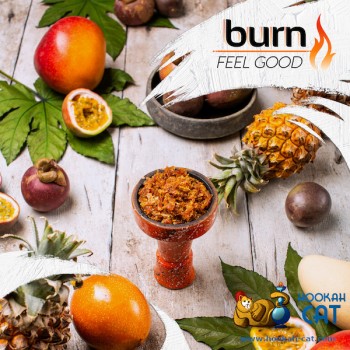 Заказать кальянный табак Burn Feel Good (Берн Тропический Коктейль) 100г онлайн с доставкой всей России